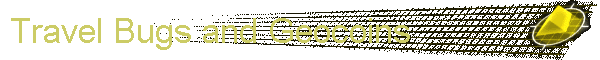Travel Bugs and Geocoins